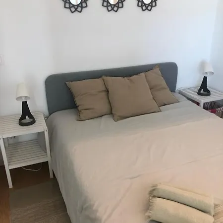 Cozy Canide *